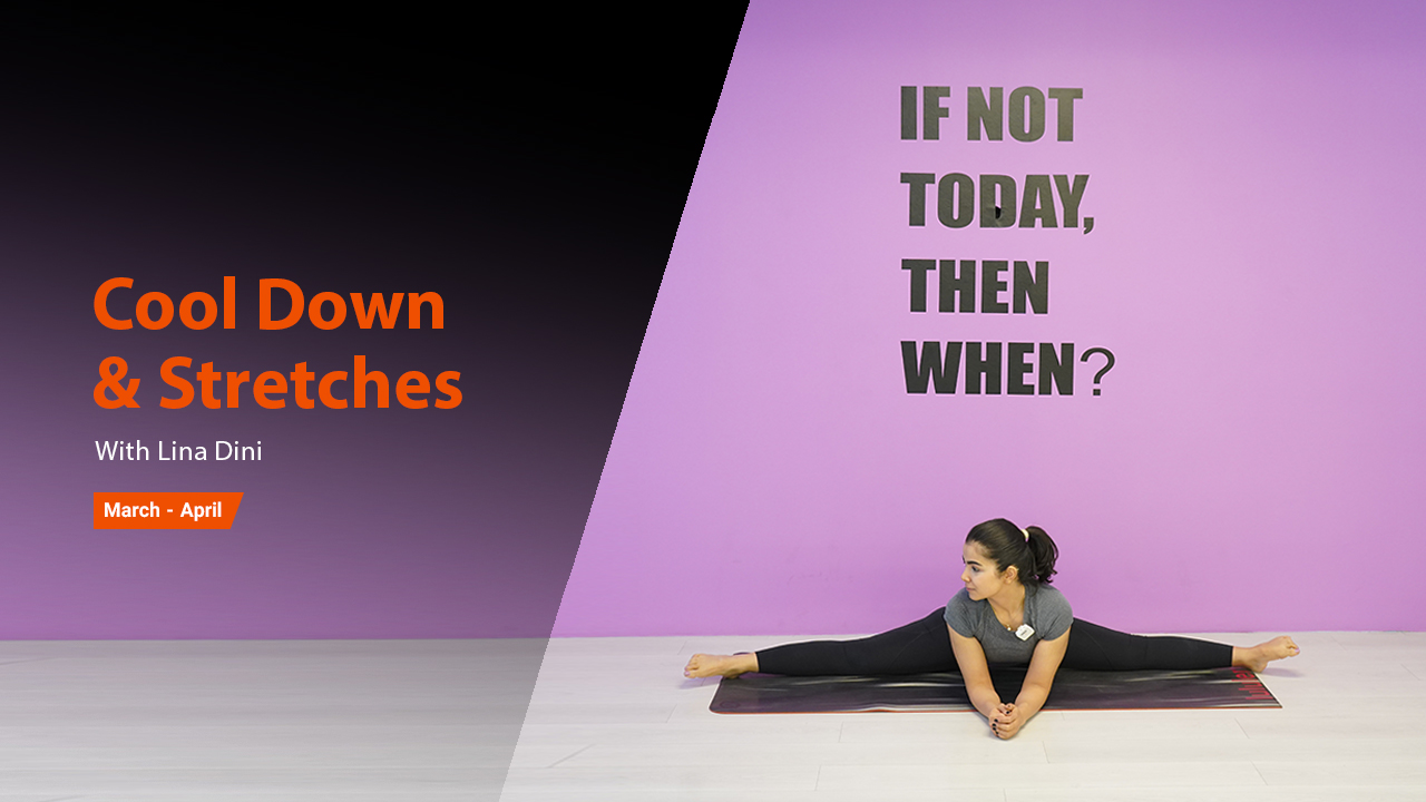 Cool Down & Stretches